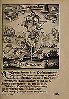  no thumbnail available