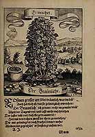  no thumbnail available