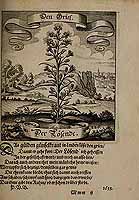  no thumbnail available