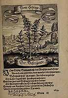  no thumbnail available