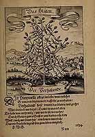  no thumbnail available