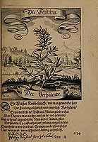  no thumbnail available