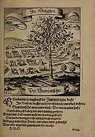  no thumbnail available