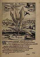  no thumbnail available