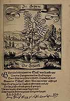  no thumbnail available