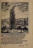  no thumbnail available