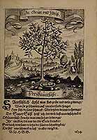  no thumbnail available