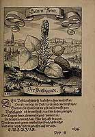  no thumbnail available