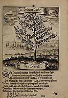  no thumbnail available