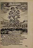  no thumbnail available