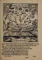  no thumbnail available