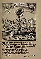  no thumbnail available