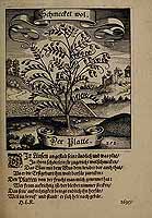  no thumbnail available