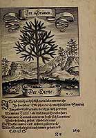  no thumbnail available