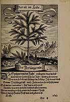  no thumbnail available