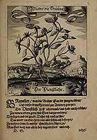  no thumbnail available