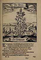  no thumbnail available