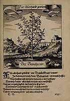  no thumbnail available