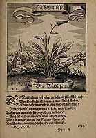  no thumbnail available