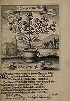  no thumbnail available