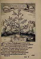  no thumbnail available