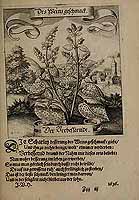  no thumbnail available