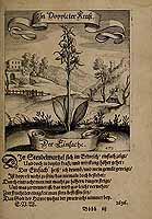  no thumbnail available