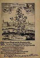  no thumbnail available