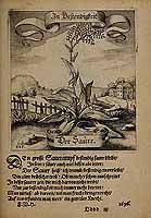  no thumbnail available