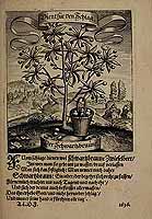  no thumbnail available