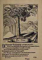  no thumbnail available