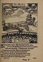  no thumbnail available