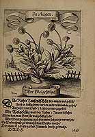  no thumbnail available