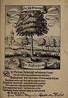  no thumbnail available