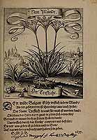  no thumbnail available