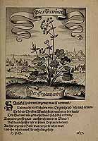  no thumbnail available