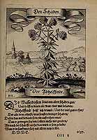  no thumbnail available