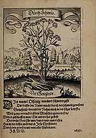  no thumbnail available