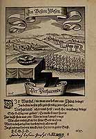  no thumbnail available