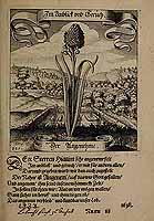  no thumbnail available