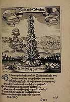  no thumbnail available