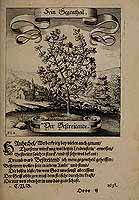  no thumbnail available