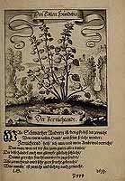  no thumbnail available