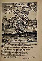  no thumbnail available