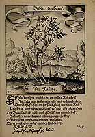  no thumbnail available