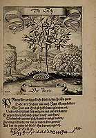  no thumbnail available