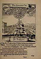  no thumbnail available