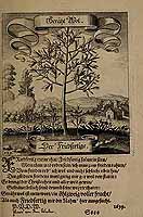  no thumbnail available