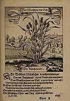  no thumbnail available