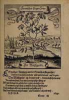  no thumbnail available